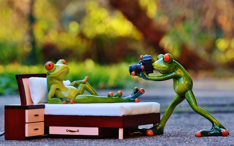 Fairytale Photo Shoots